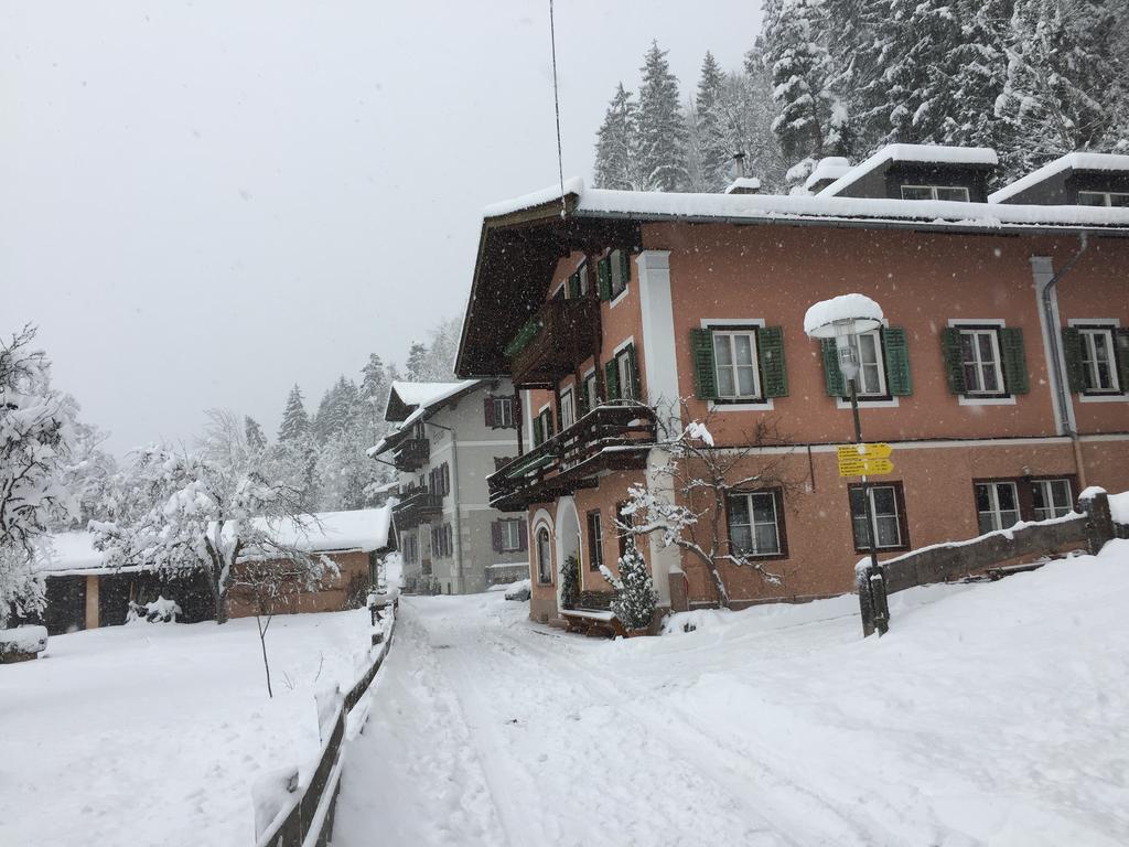 Haus Stainer Daire Lofer Dış mekan fotoğraf