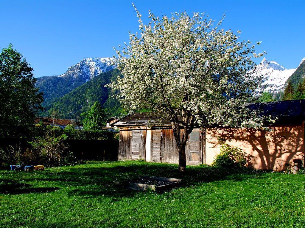 Haus Stainer Daire Lofer Dış mekan fotoğraf